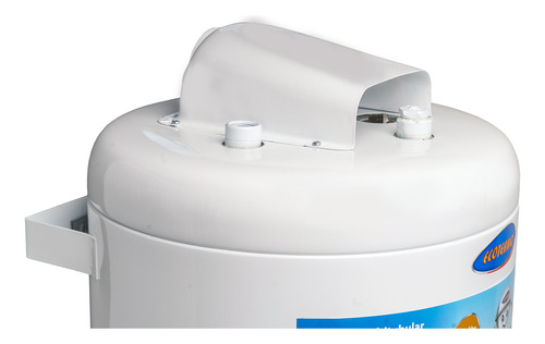 Termotanque Ecotermo 53 Lts Ar Ep Gn C/superior Teco2ns053 Blanco