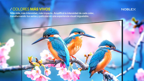 Televisor Smarttv Noblex Roku 43 Pulgadas Led Full Hd Fhd