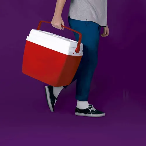 Caja Frigorífica De 34 Litros Mo Color Red Rojo