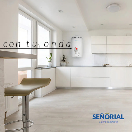 Termotanque A Gas Señorial Zafiro Tszp1-30 30l Blanco