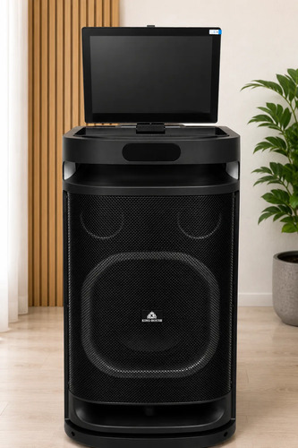 Parlante Portatil King-house 80w Con Pantalla 14.1  Tactil Negro
