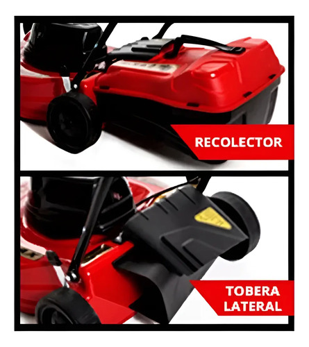 Cortadora Cesped Petri 3 Hp Nafta C/bolsa C/reg 5 Pos Rojo