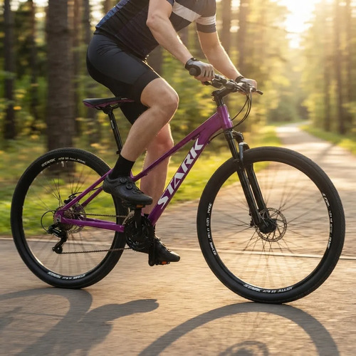 Bicicleta Stark Rod.29 Talle 16 Violeta 21 Velocidades Violeta M