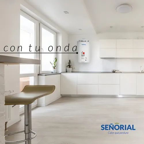 Termotanque Multigas Señorial Tszp1-85 Zafiro Color Blanco