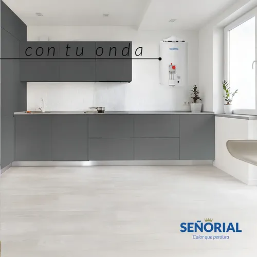 Termotanque Eléctrico Señorial Tesz-40l Zafiro Color Blanco 40 Litros