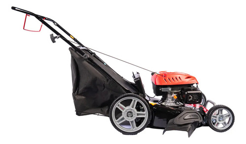 Cortadora De Cesped Petri 6 Hp Nafta Bolsa Tritura 3 En 1 Negro